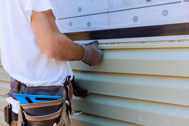 Best Fascia and Soffit Installation  in Camn, DE